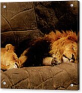 Twosome Relaxing Acrylic Print