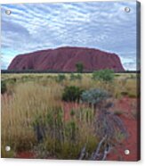 Uluru - Australia Acrylic Print