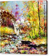 Unicorn Giraffe At The River Acrylic Print