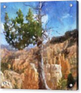 Utah Trees Bryce Canyon National Park 08 A Pa Vertical Acrylic Print