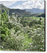 Valleys And Meadows Of New Zealand. Springtime. Queenstown Area. Acrylic Print