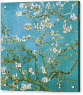 Van Gogh Blossoming Almond Tree Acrylic Print