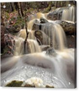 Velvet Cascades Acrylic Print