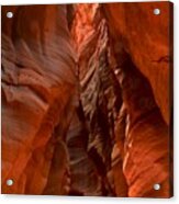 Vermilion Cliffs Narrows Acrylic Print