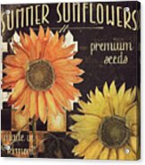 Vermont Farms Sunflowers Acrylic Print