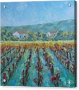 Vigne De Provence Acrylic Print