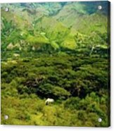 Vilcabamba Ecuador 2000 Acrylic Print