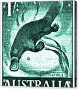 Vintage 1959 Australia Platypus Postage Stamp Acrylic Print