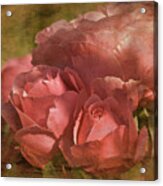 Vintage Sunday Roses June 14th Acrylic Print