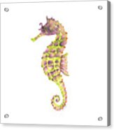 Violet Green Seahorse - Square Acrylic Print