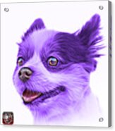 Violet Pomeranian Dog Art 4584 - Wb Acrylic Print