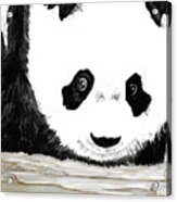 Vivi's Pet Panda Acrylic Print
