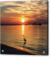 Wading Heron At Sunrise Acrylic Print