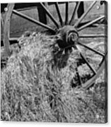 Wagon Wheel And Grain C2g 5772 Acrylic Print