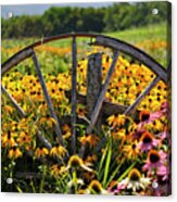 Wagon Wheel Flowers Acrylic Print