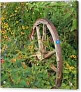 Wagon Wheel On Flowering Bridge Acrylic Print
