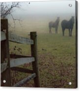 Waiting For The Fog To Lift Acrylic Print