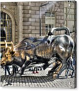 Wall Street Bull Acrylic Print