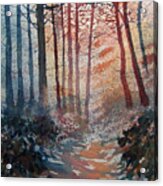 Wander In The Woods Acrylic Print