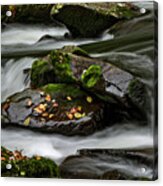 Water Around Rocks Acrylic Print