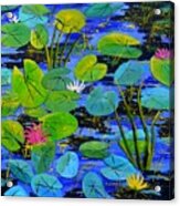 Water Lilies 88 Acrylic Print
