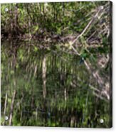 Water Reflection Acrylic Print