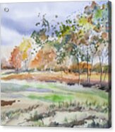 Watercolor - Autumn Birch Landscape Acrylic Print