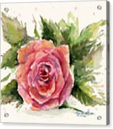 Watercolor Rose Acrylic Print
