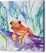 Watercolor - Tropical Frog Acrylic Print