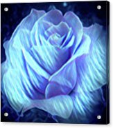 Weeping Blue Rose Acrylic Print
