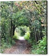 Welcome To The Wooded Path Acrylic Print