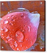 Wet Petal 2 Acrylic Print