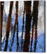 Wetland Reflections 200 Acrylic Print
