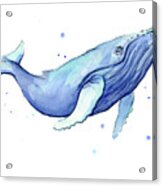 Whale Watercolor Humpback Acrylic Print