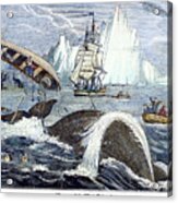 Whaling, 1833 Acrylic Print