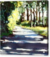 What Waits For Us Down The Road Acrylic Print