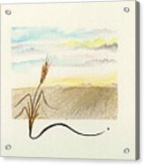 Wheat Field Study Four Acrylic Print