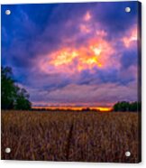 Wheat Field Sunset Acrylic Print