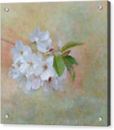 Whispers Of Spring Acrylic Print