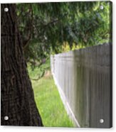 White Fence And Tree Acrylic Print