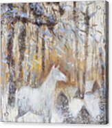 White Horse In Winter Woods Acrylic Print