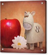 White Horse With Apple Acrylic Print