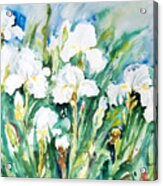 White Irises Acrylic Print