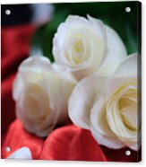White Roses On Red Satin Acrylic Print