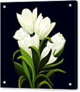 White Tulips Acrylic Print