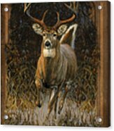 Whitetail Deer Acrylic Print