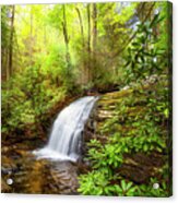 Whitewater Rushing Through The Forest Acrylic Print