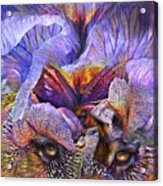 Wild Goddess - Tigress Acrylic Print