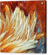 Wild Rooster Feather Abstract Acrylic Print
