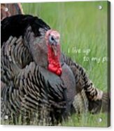 Wild Turkey Said I Live Up To My Potential Acrylic Print